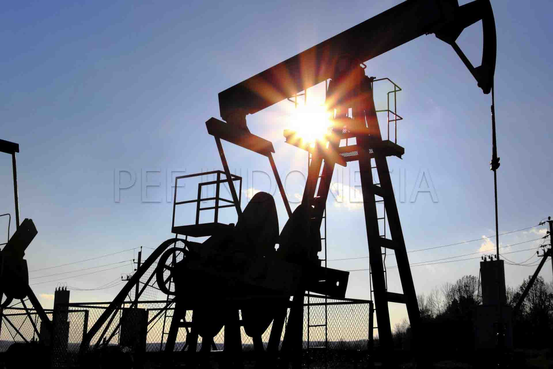 WTI mempertahankan kenaikan di sekitar pertengahan $81,00, di bawah tertinggi dua bulan yang dicapai pada hari Jumat